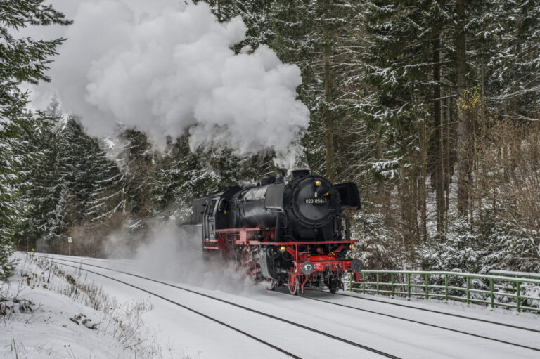 Tagesfahrt zum Weihnachtsmarkt Bad Wimpfen